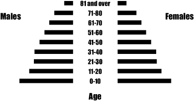 age pyramid